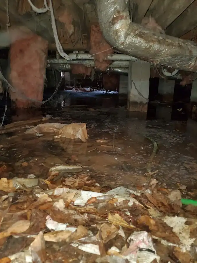Crawl space flood assessment for Leak Detection & Repair in Oswego